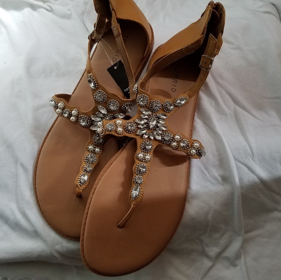 Scandals - Picture 2 of 2